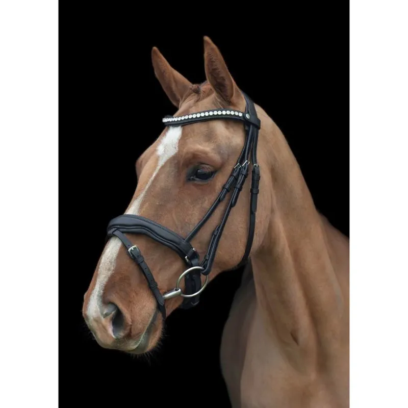 Cameo EcoRider Ultra Comfort Navan Bridle Full in Brown